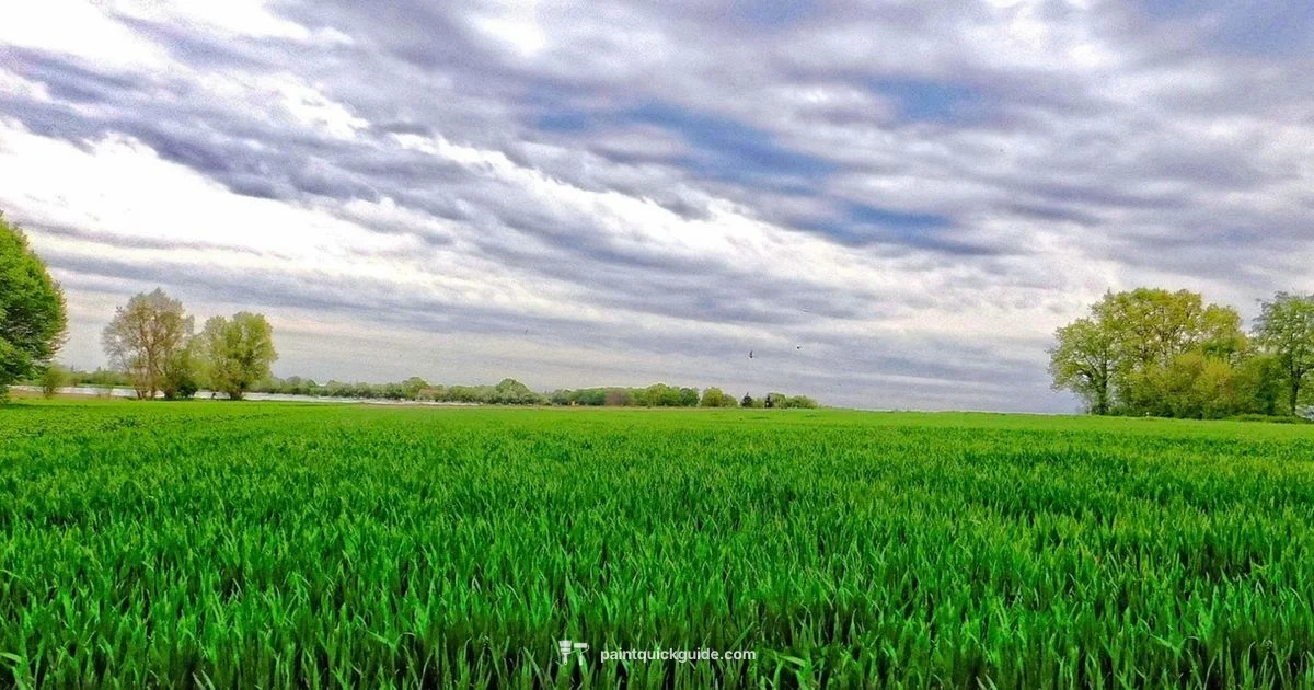 Bob Ross–Style Class - PaintQuickGuide