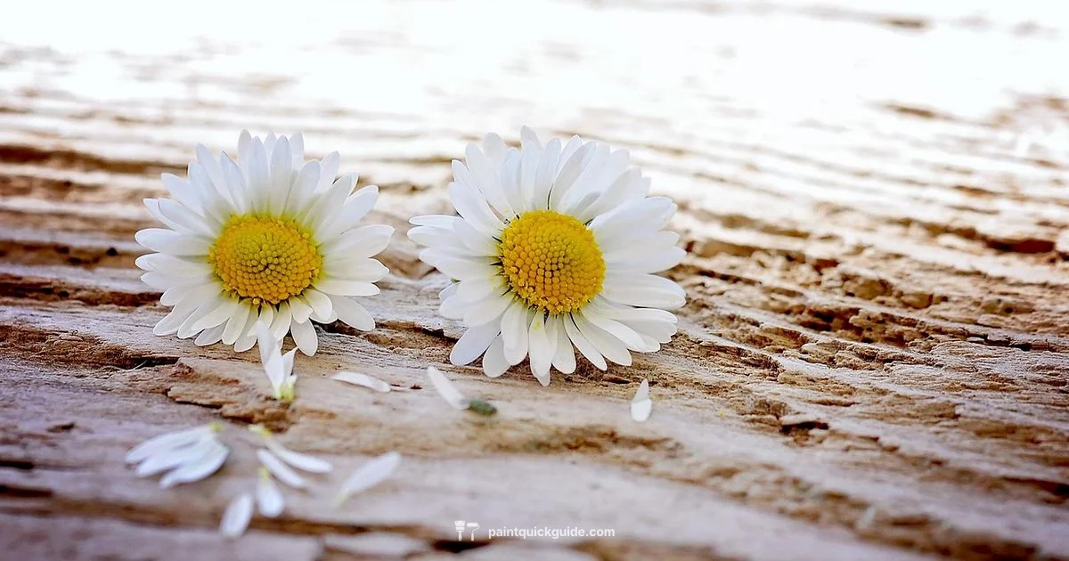 Daisy Painting Tutorial - PaintQuickGuide