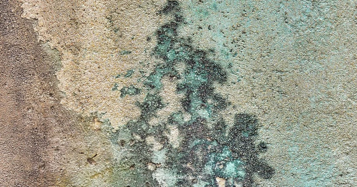 Dulux Paint Guide Dulux Paint Guide - PaintQuickGuide