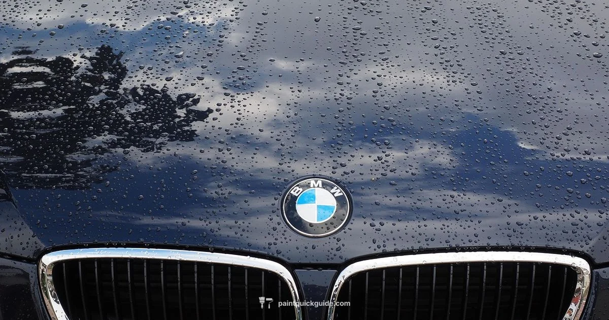 Paint Spill Fix - PaintQuickGuide