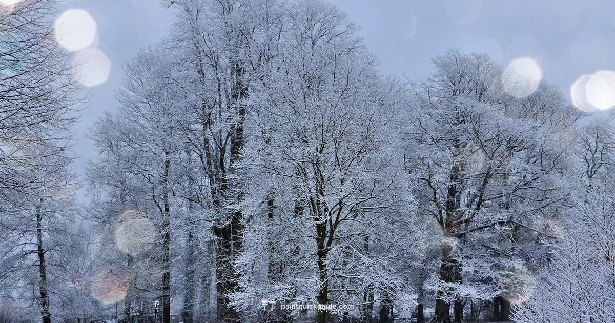 Cold Weather Painting - PaintQuickGuide