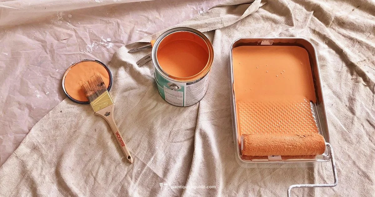 Paint Return Guide - PaintQuickGuide