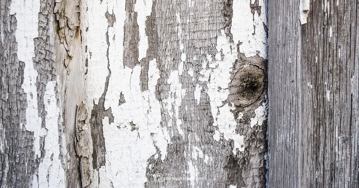 Pressure Treated Wood Paint - PaintQuickGuide