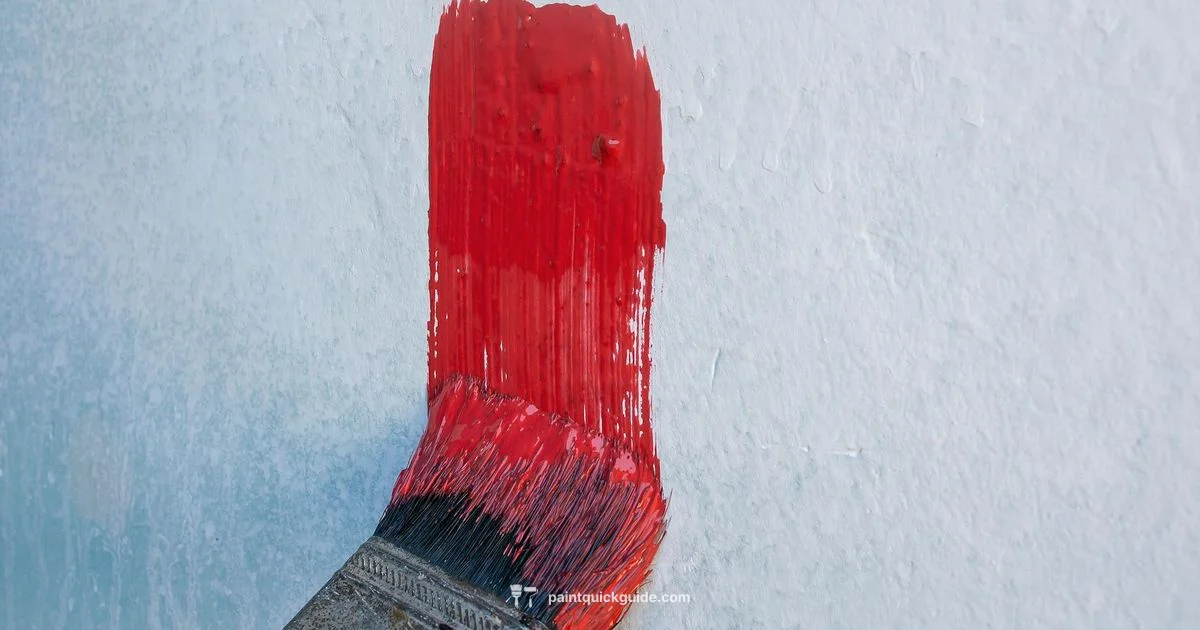 QD Paint Guide QD Paint Guide - PaintQuickGuide