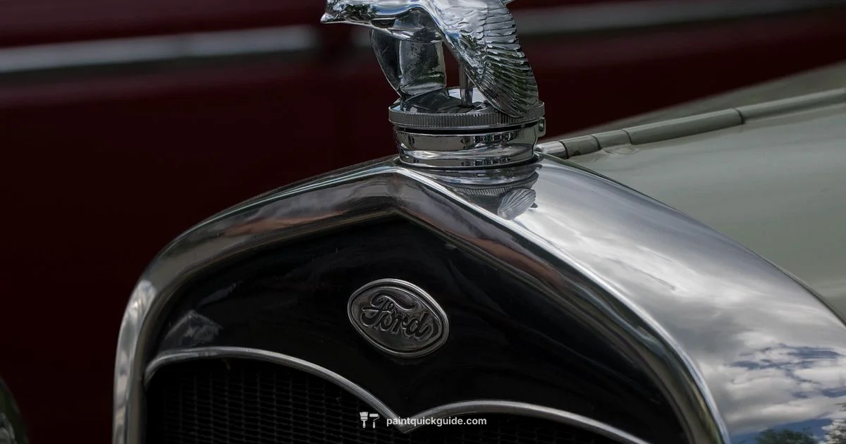 Protective Film Guide - PaintQuickGuide