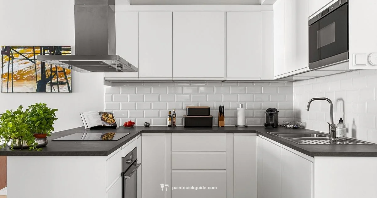 Cabinet Painting Guide Cabinet Painting Guide - PaintQuickGuide