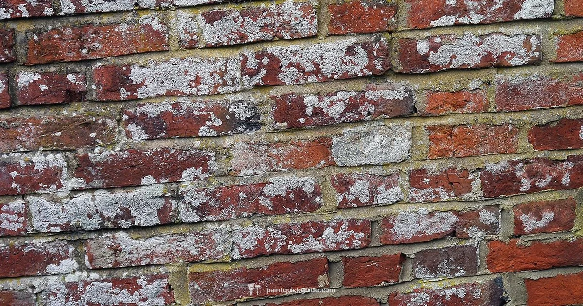 Brick Paint Guide - PaintQuickGuide