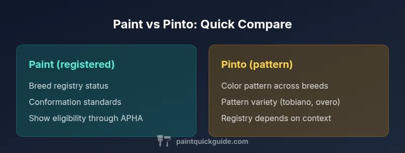 Infographic comparing Paint breed status and Pinto color patterns