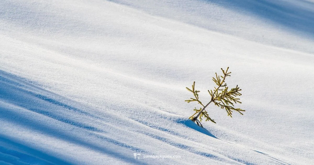 Paint Cold Weather - PaintQuickGuide