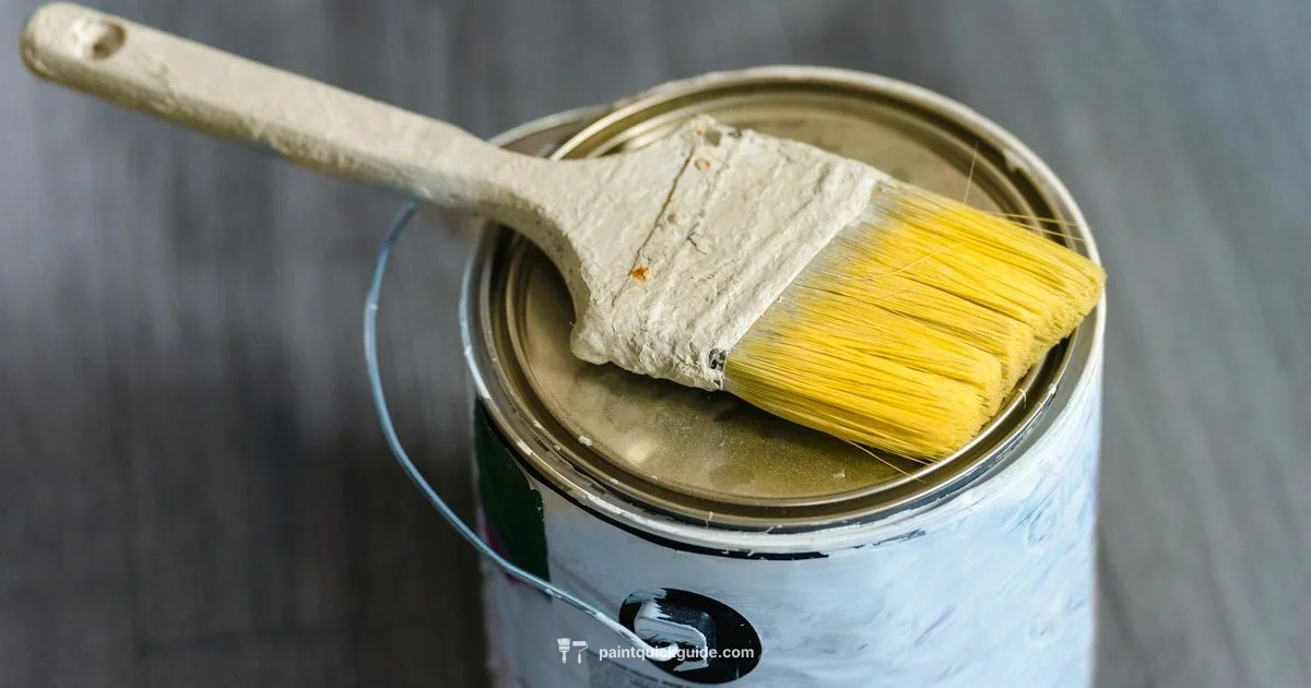 Paint Longevity - PaintQuickGuide