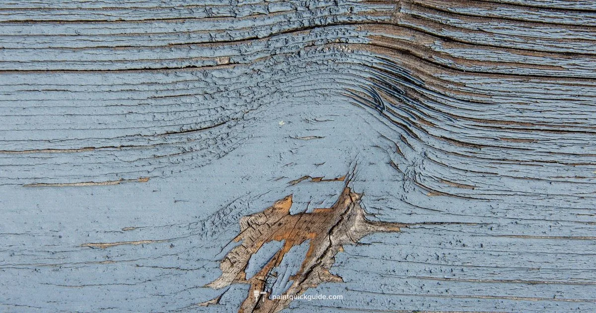 Painted Wood Mastery - PaintQuickGuide