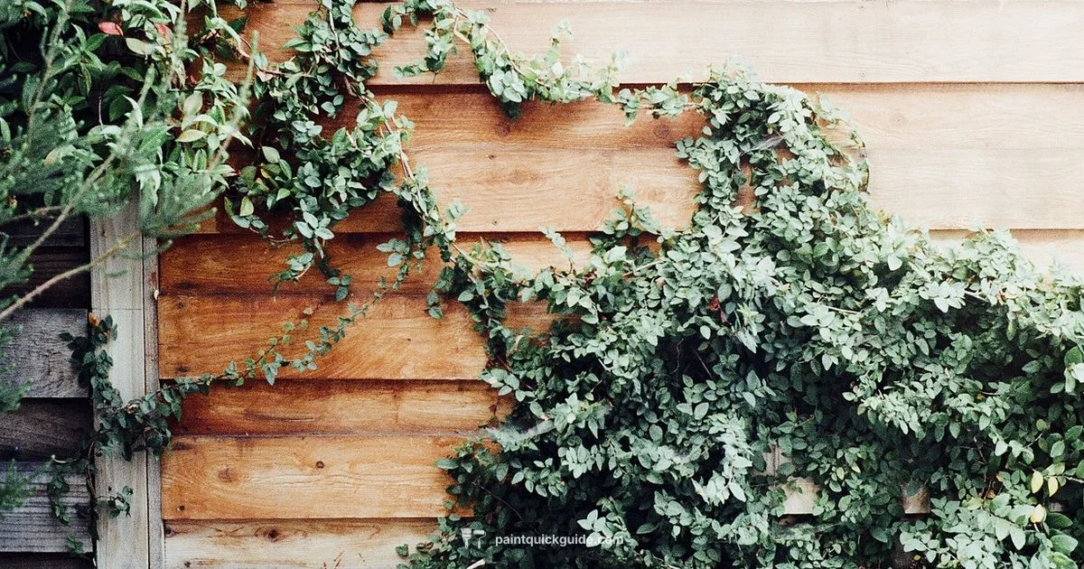 Solid Stain vs Paint - PaintQuickGuide