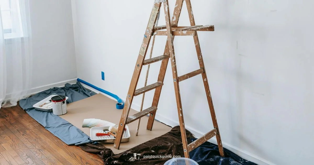 Paint Sale Locator - PaintQuickGuide