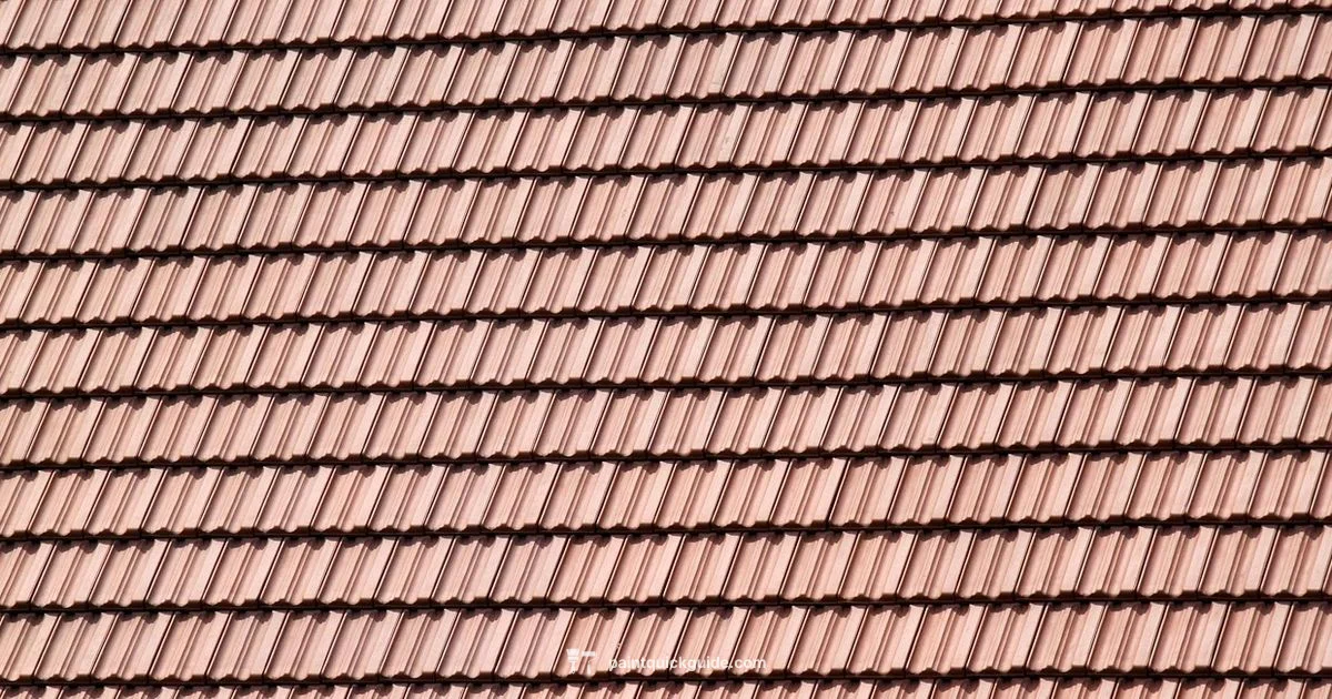 Roof Painting Guide Roof Painting Guide - PaintQuickGuide