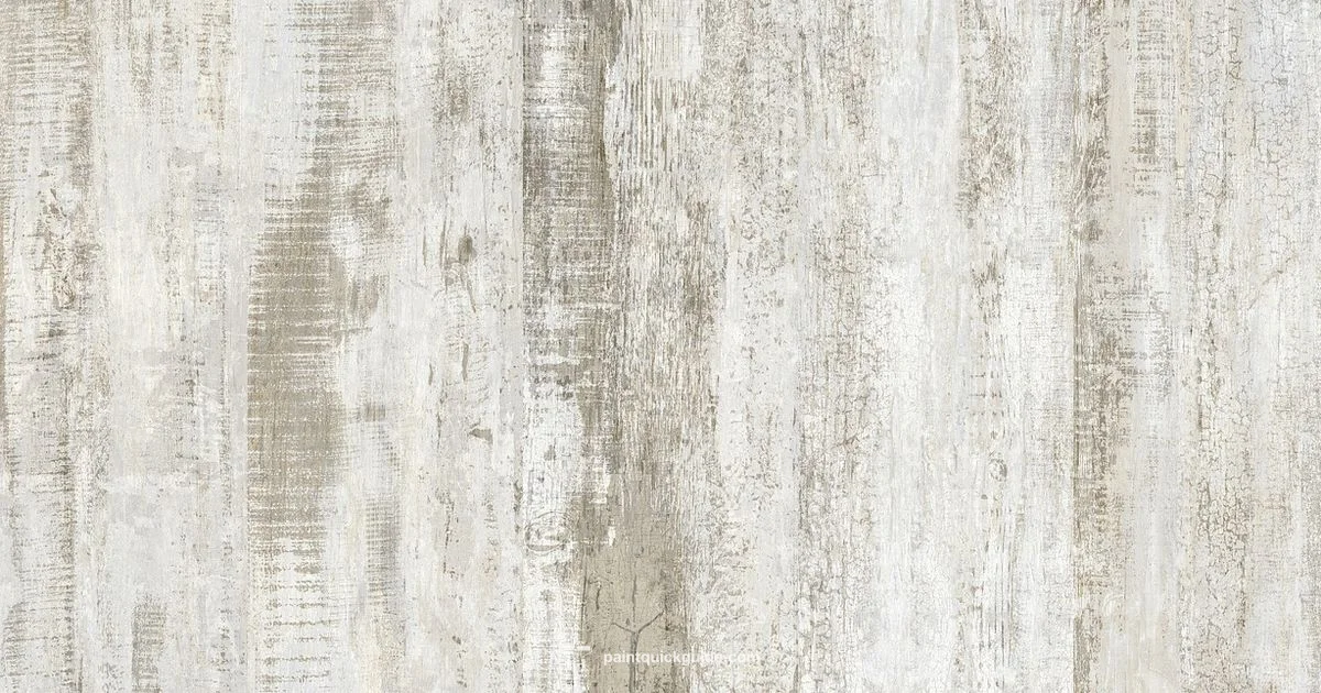 Paint vs Stain - PaintQuickGuide