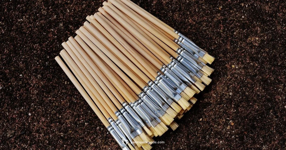 Brush Types Guide Brush Types Guide - PaintQuickGuide