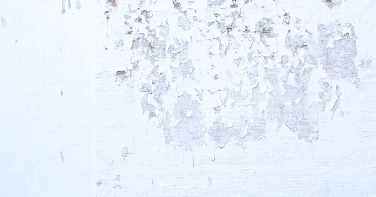 Best Paint Guide - PaintQuickGuide