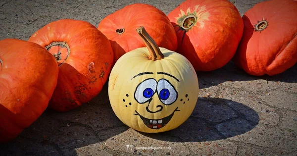 Painted Pumpkin Ideas - PaintQuickGuide