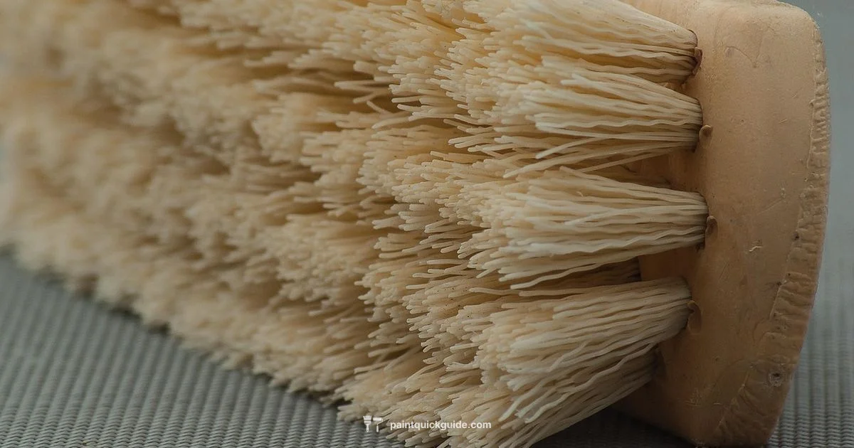 Brush Cleaning Guide - PaintQuickGuide