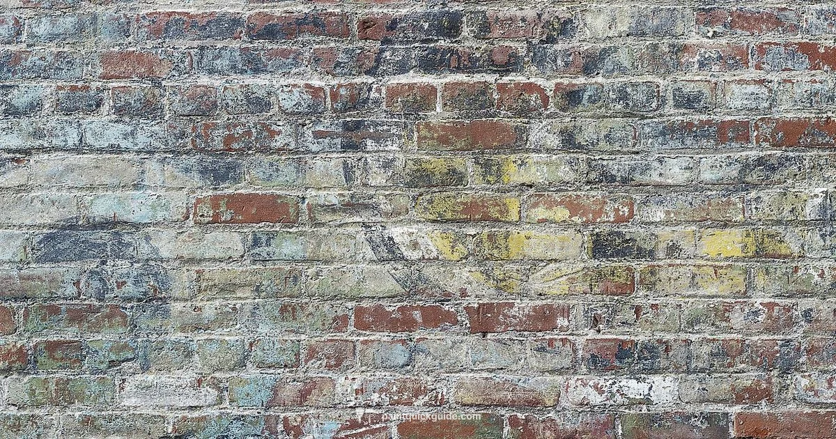 Background Paint Guide - PaintQuickGuide