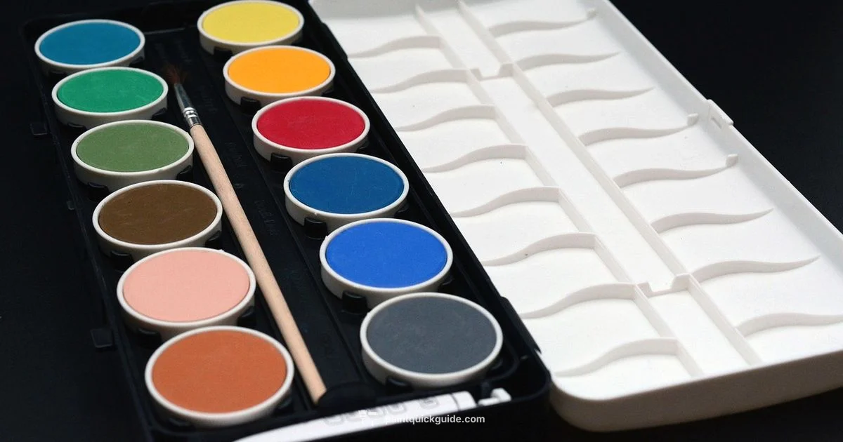 One Coat Solution - PaintQuickGuide
