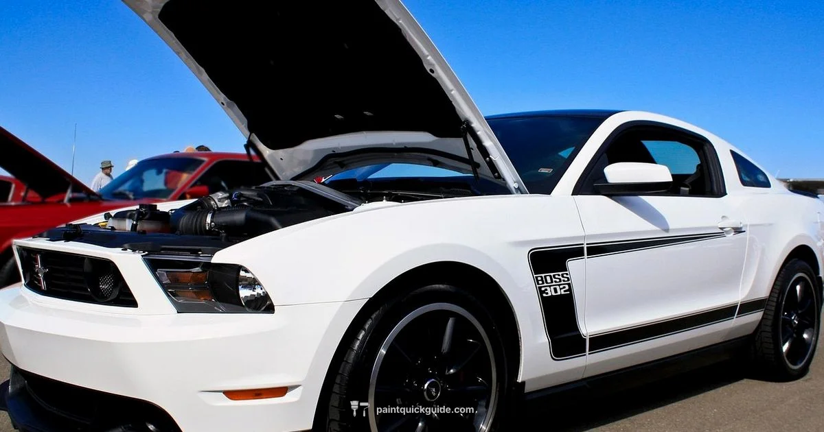 Repair Car Paint - PaintQuickGuide