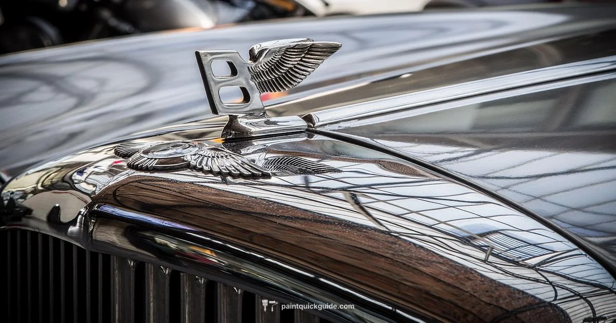 Sealant Car Paint - PaintQuickGuide