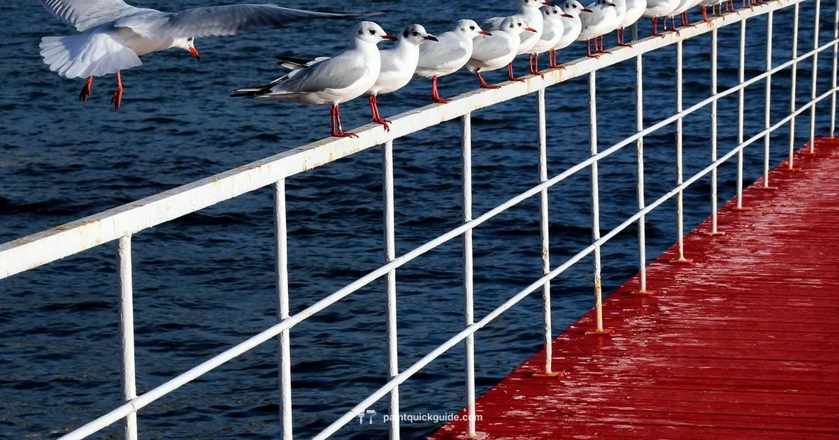 Paint on Plastic - PaintQuickGuide