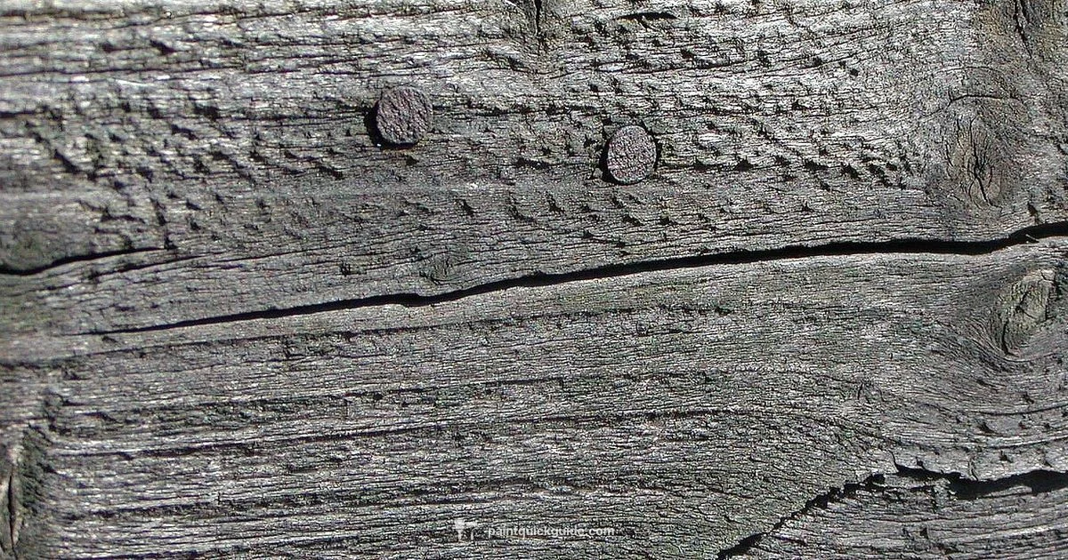 Waterproof Wood Paint - PaintQuickGuide