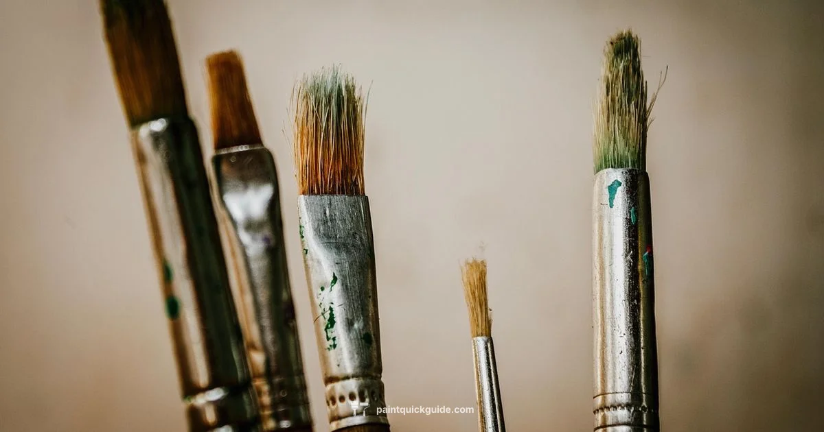 Mastering Paint Draw - PaintQuickGuide