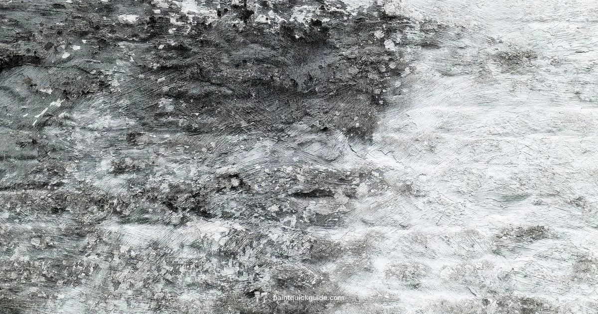 White Paint Fundamentals - PaintQuickGuide