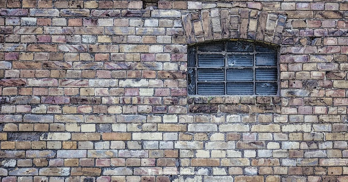 Lime Wash in Sunlight Lime Wash in Sunlight - PaintQuickGuide