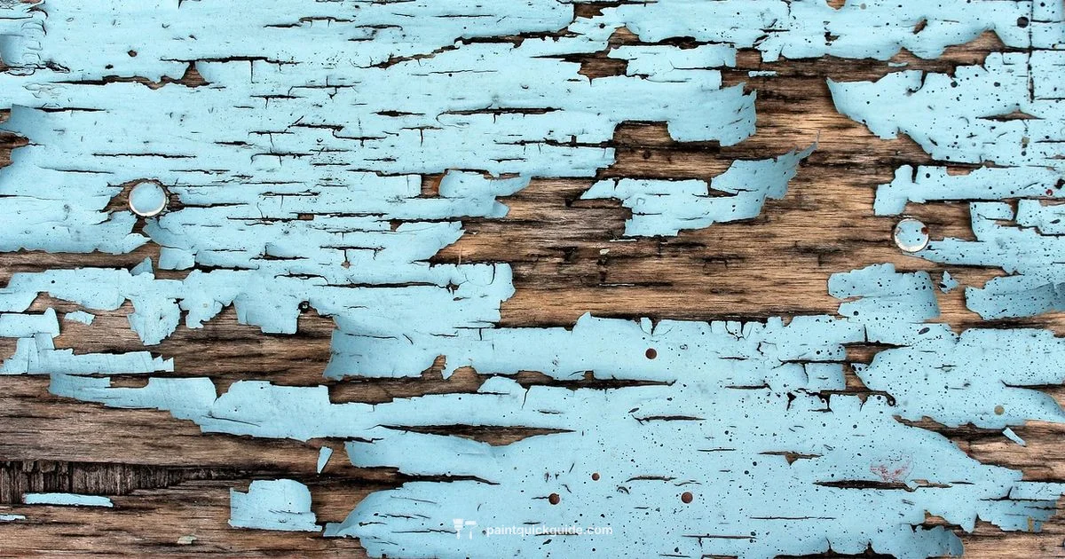 Solid Paint Markers - PaintQuickGuide