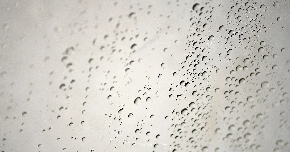 Best Bathroom Paints - PaintQuickGuide