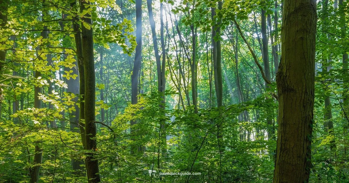 Paint Tree McKinney - PaintQuickGuide