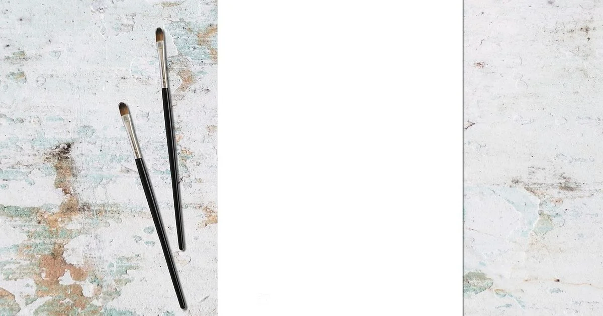 Corel Paint Software - PaintQuickGuide