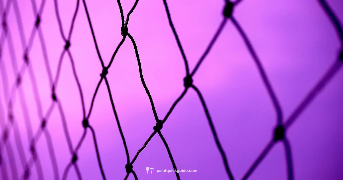 Net Painting Guide - PaintQuickGuide