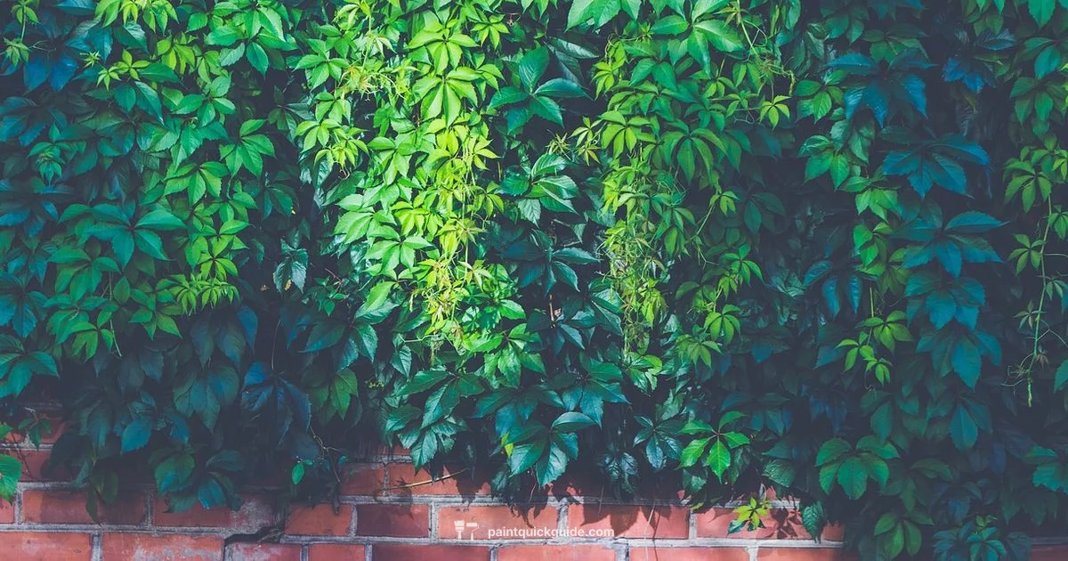 Outdoor Painting Weather - PaintQuickGuide