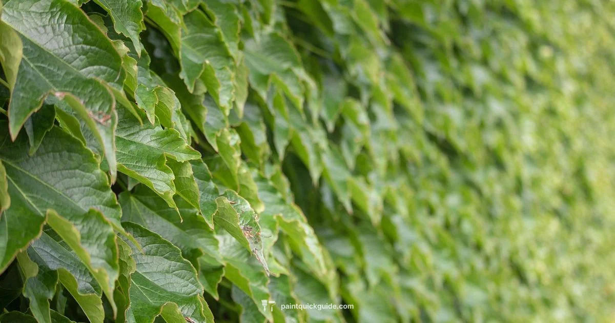 Dark Green Hue Guide Dark Green Hue Guide - PaintQuickGuide