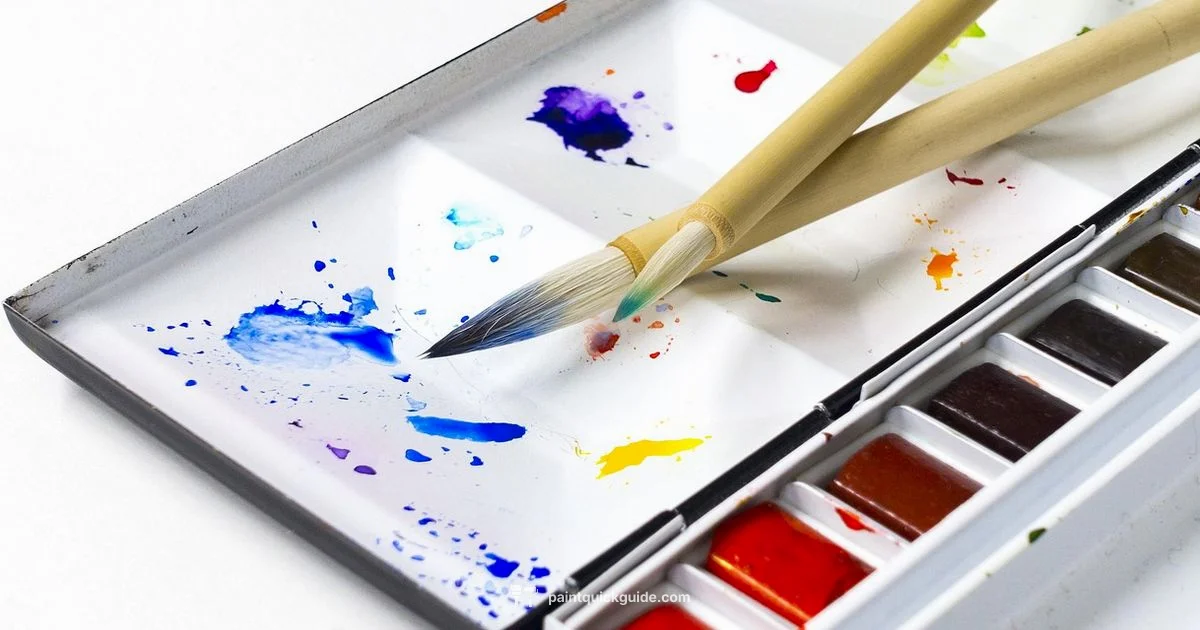 Watercolor Basics - PaintQuickGuide