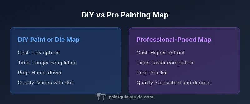 Comparison infographic for DIY vs pro painting maps