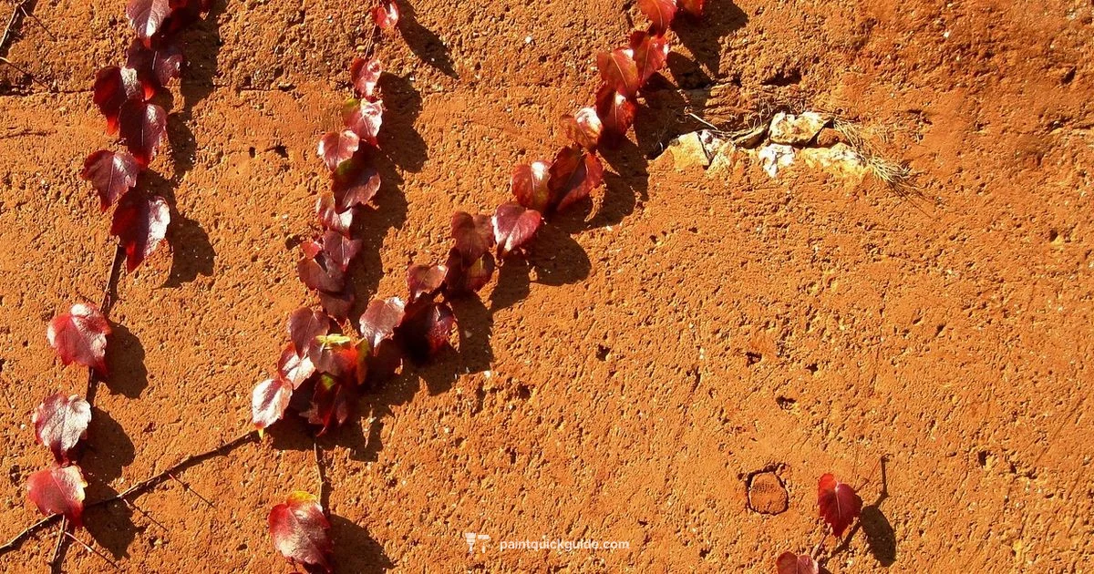 Bathroom Paint Guide Bathroom Paint Guide - PaintQuickGuide