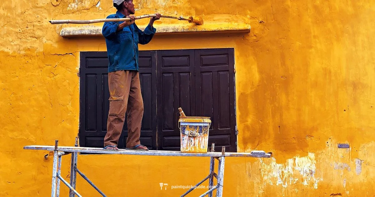 Paint Guide Review Paint Guide Review - PaintQuickGuide