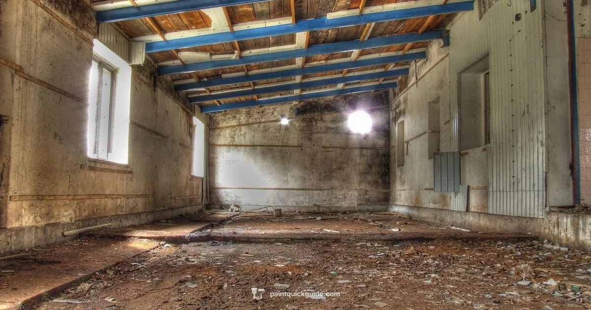 Car Paint Guide - PaintQuickGuide