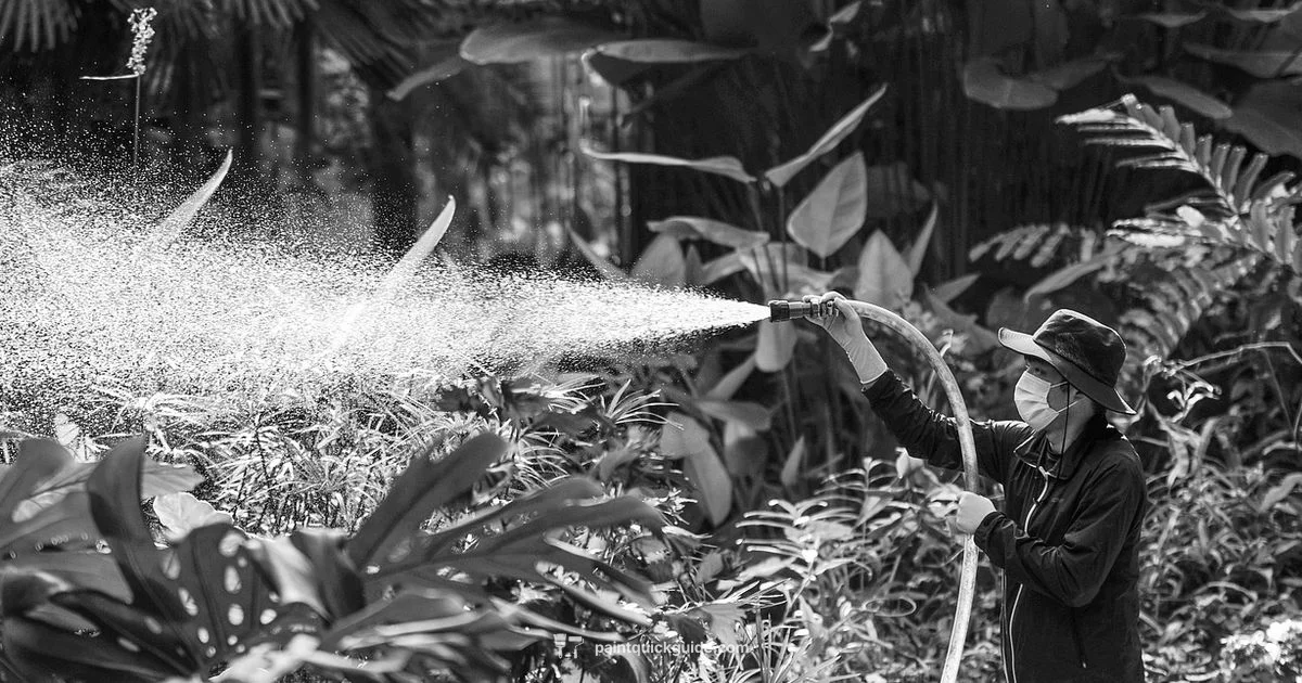 Airless Spray Guide - PaintQuickGuide