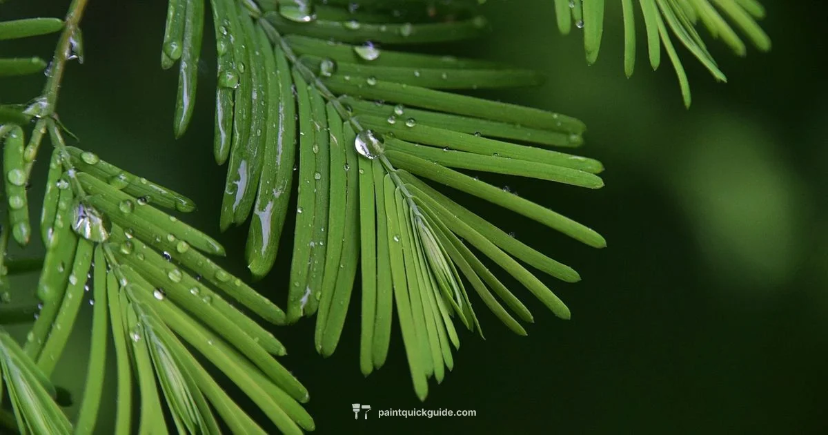 Eye Safety First Aid - PaintQuickGuide