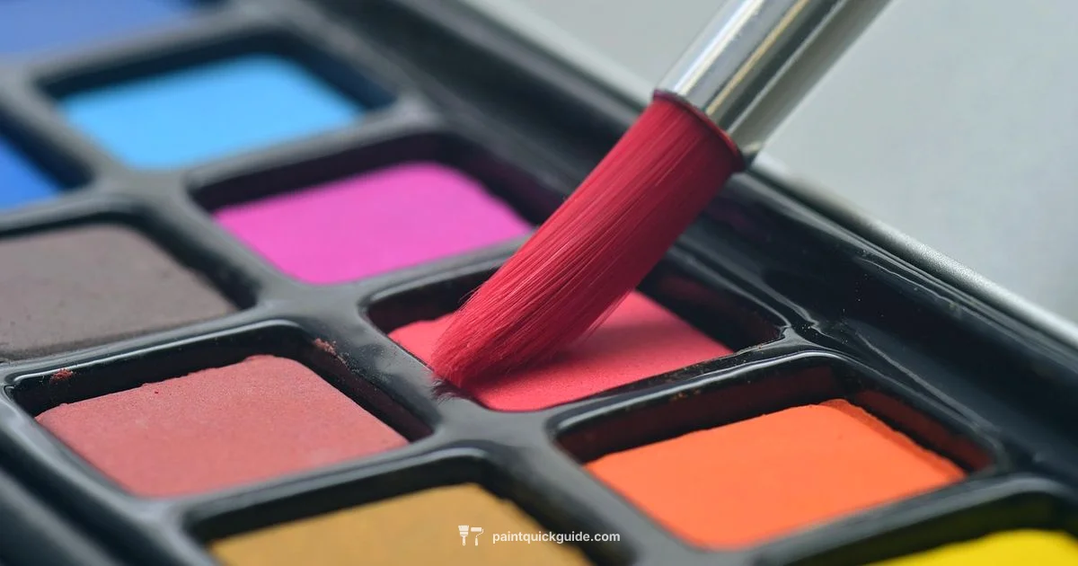 Paint App Spotlight - PaintQuickGuide