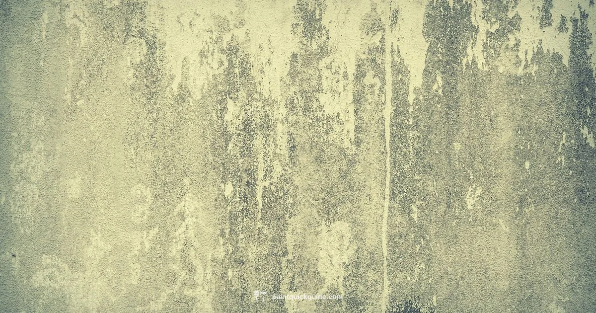 Exterior Concrete Painting - PaintQuickGuide