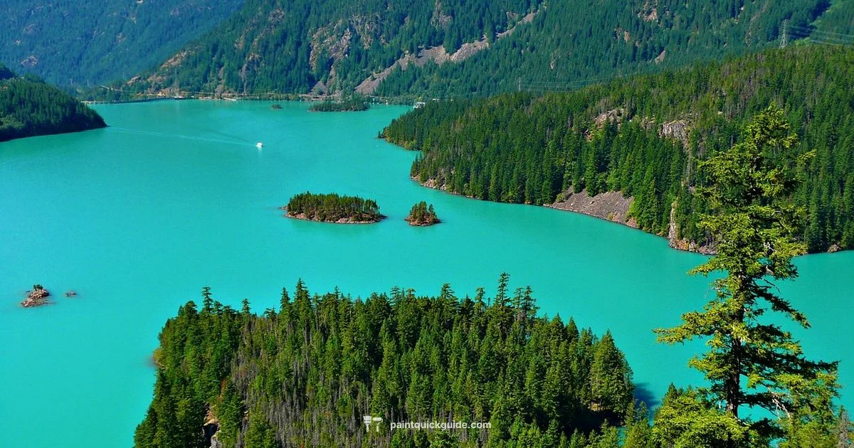 Bob Ross Paintings - PaintQuickGuide