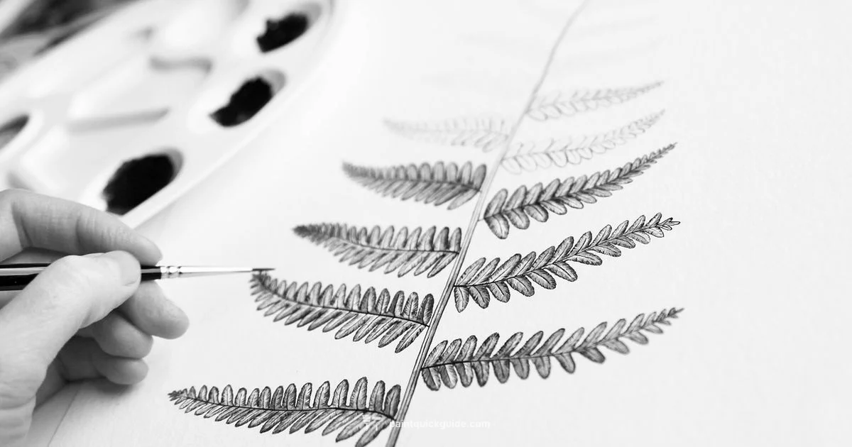 IBIS Paint X Review - PaintQuickGuide